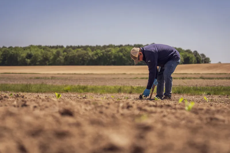 Selling the Sky: How Carbon Credit Farming Became the Food Industry's Most Profitable Fiction