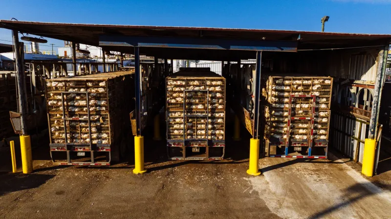 Stuck at the Farmers Market: The Hidden Infrastructure Problem Keeping Sustainable Food Off Grocery Shelves