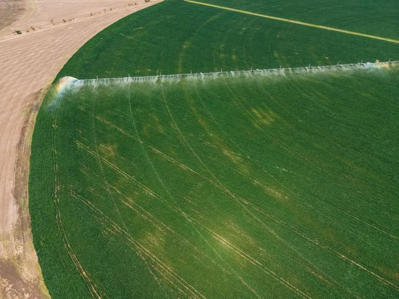 Draining the Future: How Industrial Farms Are Quietly Emptying America's Underground Water Supply