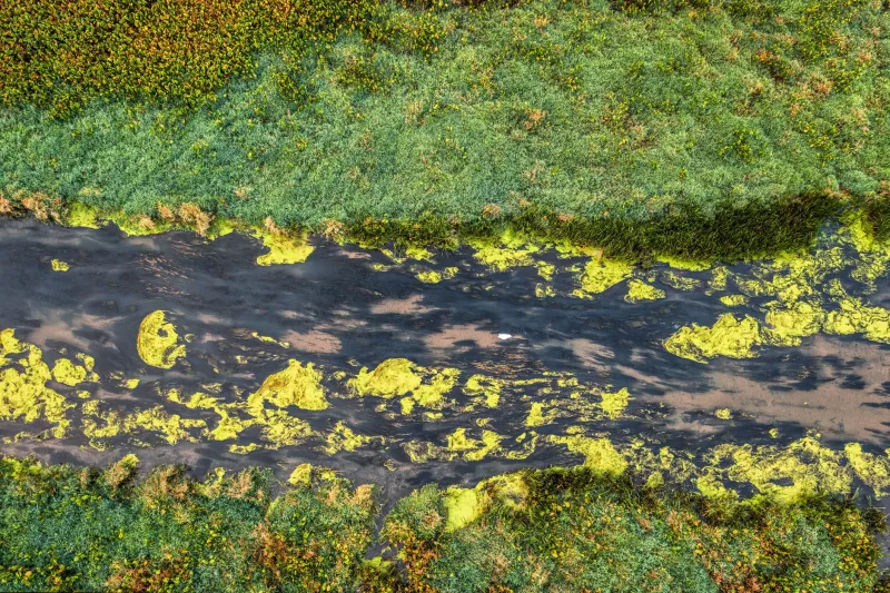 Good Intentions, Dirty Water: The Fertilizer Problem Hiding in Plain Sight on Sustainable Farms