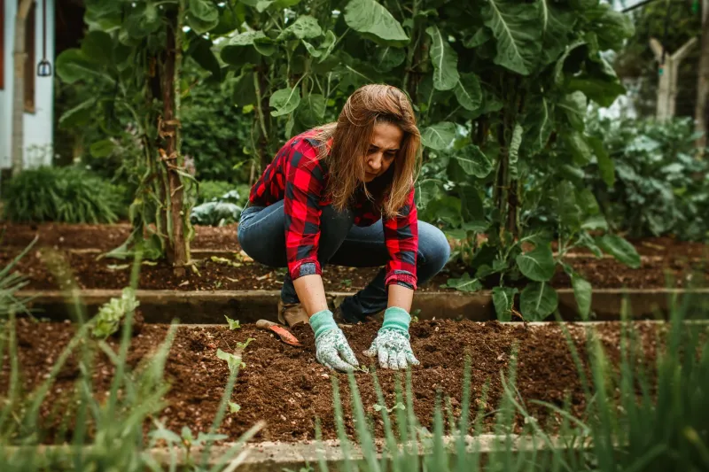 Green on the Surface, Hollow Underneath: How Regenerative Agriculture Became the Food Industry's Favorite Buzzword