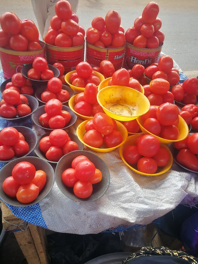 From Field to Flavorless: The Long, Costly Journey of Your Average Supermarket Tomato