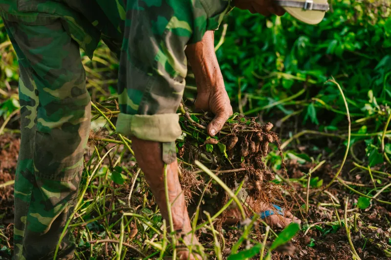 Underground Accounting: The Messy, Contested Science of Measuring Soil Carbon