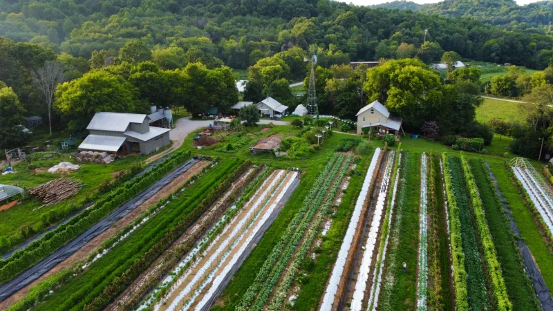 Some Farms Are Flourishing. Others Are Quietly Dying. Here's What's Actually Making the Difference.